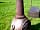 The Den and Orchard: Chiminea (photo added by manager on 04/18/2018)