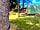 Minton Hill Pods: Pod area (photo added by manager on 10/07/2022)