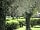 Europa Silvella: Camping pitches