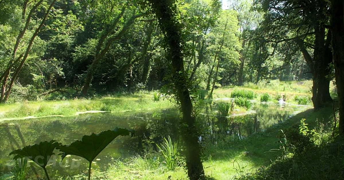 Highfields PopUp Campsite, Narberth Pitchup®