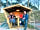 Pine Cones Caravan and Camping: Picnic huts, powered by renewable electricity supply.