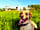 Offa's Dyke Farm Campsite