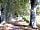 Camping de Ommekeer: Direct access from the campsite