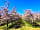Bowhayes Farm Camping: Blossom