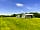 Bales Ash Campsite: The pitch