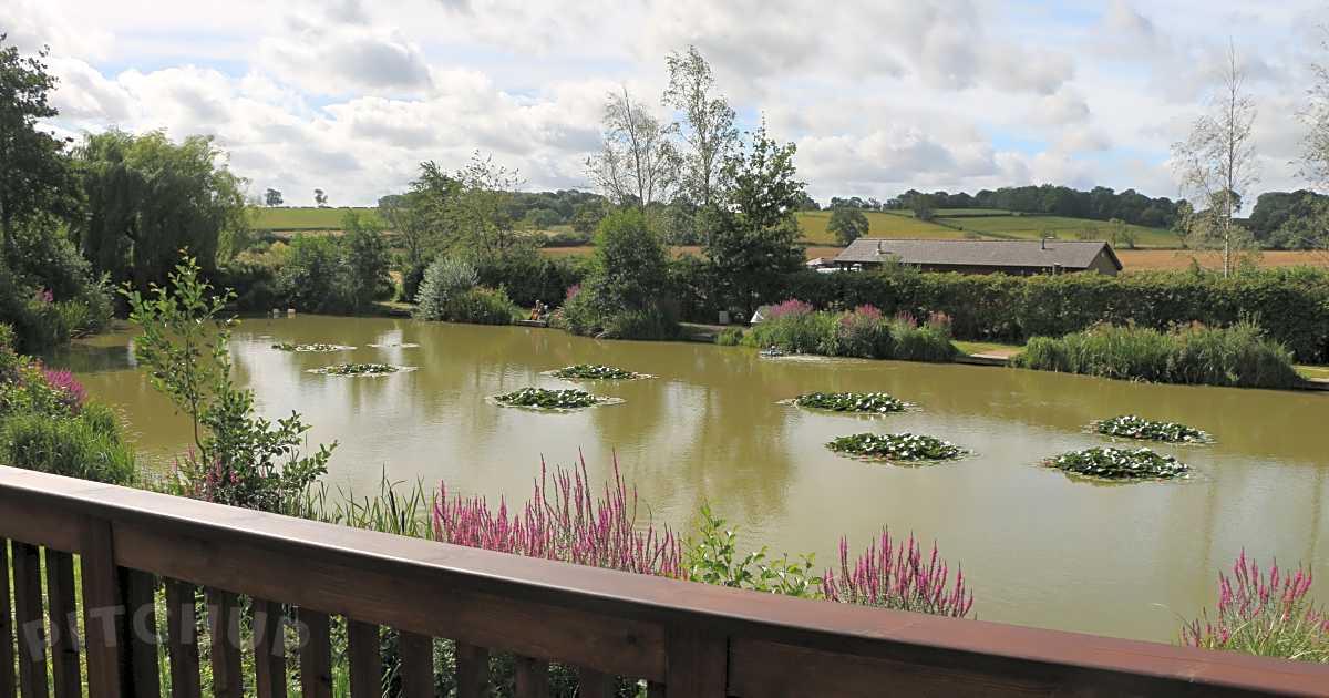 Shearsby Valley Lakes, Lutterworth Updated 2024 prices