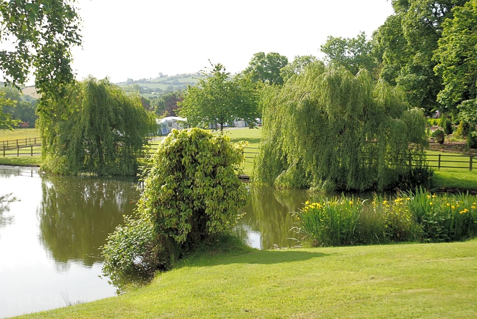 Mellington Hall Caravan Park Churchstoke Pitchup