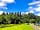 Whitemead Forest Park: Grass pitches