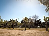 Spacious pitches Spacious pitches