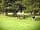 Juniper Woods: Trees and grass around grass pitches