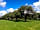 The Cider Orchard