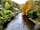 Allerbrook Meadows: Walking along the river