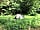Vakantiepark Drentse Weelde