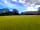 Sussex Topiary Campsite: Camping field (photo added by manager on 28/06/2021)