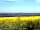 Warren Farm (фото добавлено  01.06.2021)