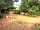 Henley Park Wild Camping