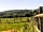 Somerset Reindeer Ranch: Somerset views behind the field