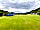Riverside Caravan and Camping Park: Main Field