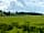 Hay Meadow: Campsite views