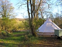 Woodland camping pitch Woodland camping pitch