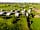 New Farm Cheshire Holidays: Aerial views of site