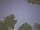 English Forest Experience: View of the Big Dipper (photo added by manager on 12/08/2022)