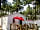 Parque Orbitur Viana do Castelo: Pandora - Terrace