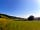 Croquet Lawn Camping at Court Farm: Camping site