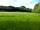 Woodland Springs Touring Park: Dog exercise area, about 1 acre of open land for exercising your dog off the lead