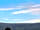 Cosmos Camping: View from tent
