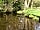 Primrose Cottage Camping