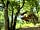 Les Cabanes des Benauges: Exterior of the treehouse