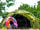 Caversham Lakes: Lakeside pitches (photo added by manager on 12/05/2022)