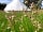 Oak Lodge Glamping: Six-metre tent (photo added by manager on 16/10/2020)