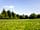 Watermill Leisure Park: Spacious field with electric hook-ups and lighting