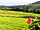 Synderborough Farm: Rural views
