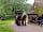 Vakantiepark Het Timmerholt: Orvelte open-air museum close by