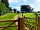 Ormesby Manor: Gate into the meadow