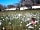 Les Ouches du Jaunay: Right in the countryside