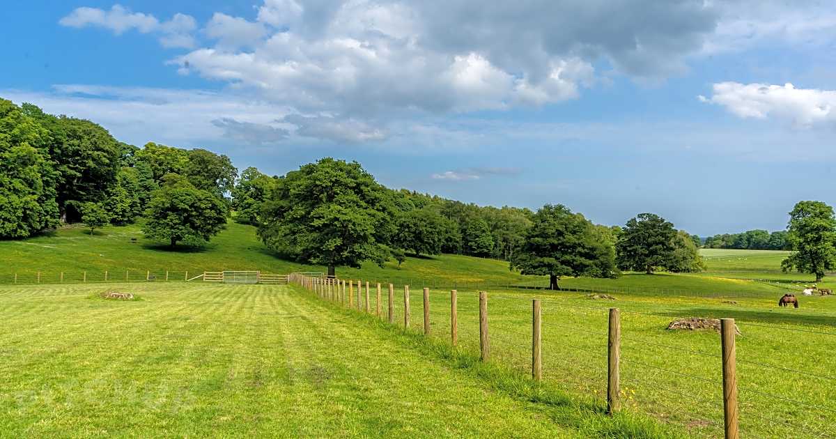 Bolam Lake Camping Paddock, Belsay Updated 2024 prices