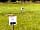 West Hale Gate Caravan Site: Grass pitch