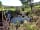Moss Side Farm Campsite