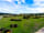 Roundhill Caravan and Camping Site: View across some of the pitches