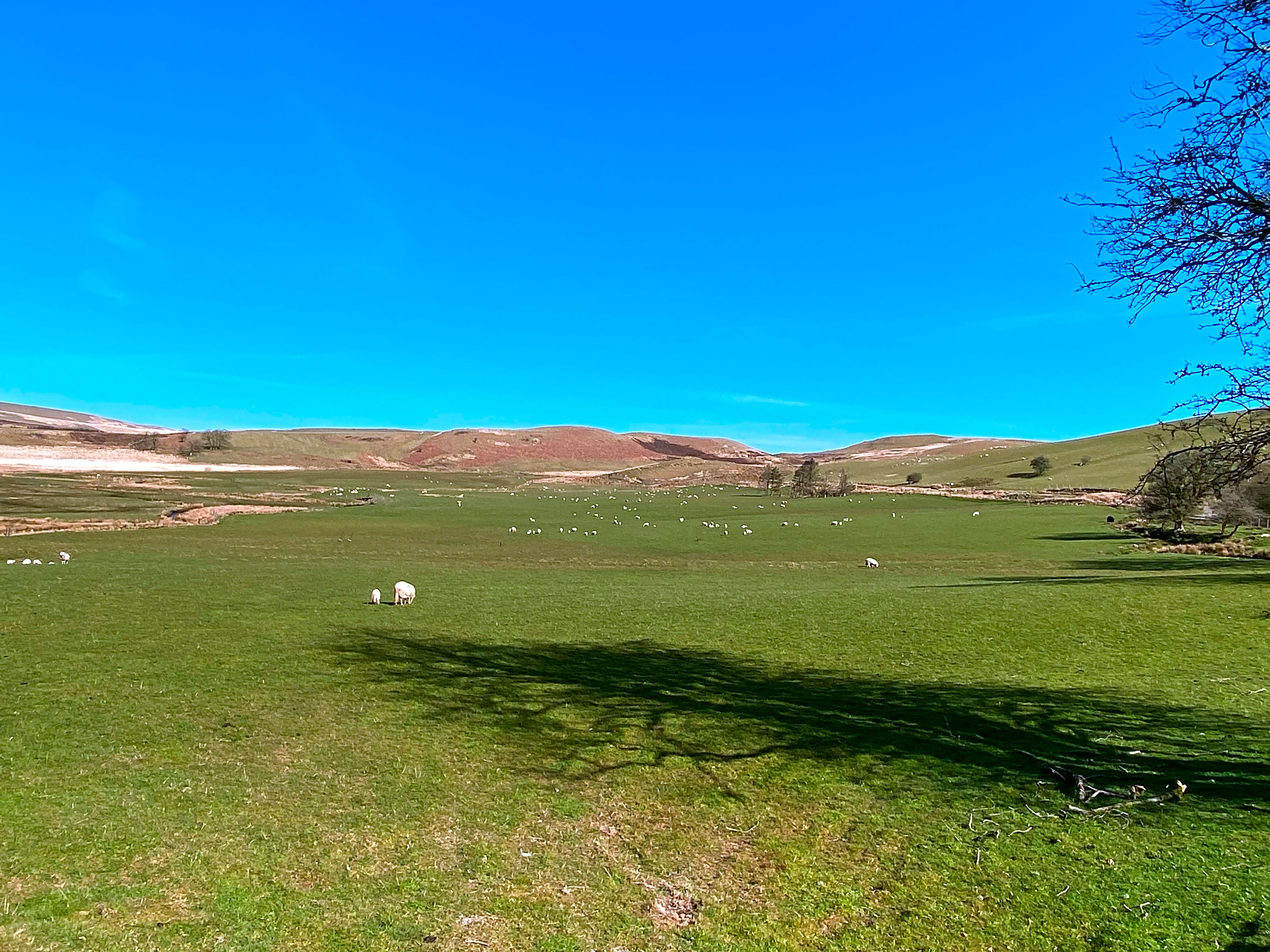Nantyrast Wild Camping Llandovery Updated 2021 Prices Pitchup