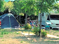 Emplacement pour tente sur sol forestier avec électricité optionnelle