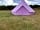 Grange Paddock Camping: Lavender