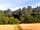 Holmans Woods