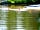 Vakantiepark Het Timmerholt: Swimming in the lake
