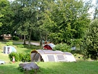 Wooded site with grassy pitches Wooded site with grassy pitches