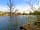 Greengrass Park: Lake